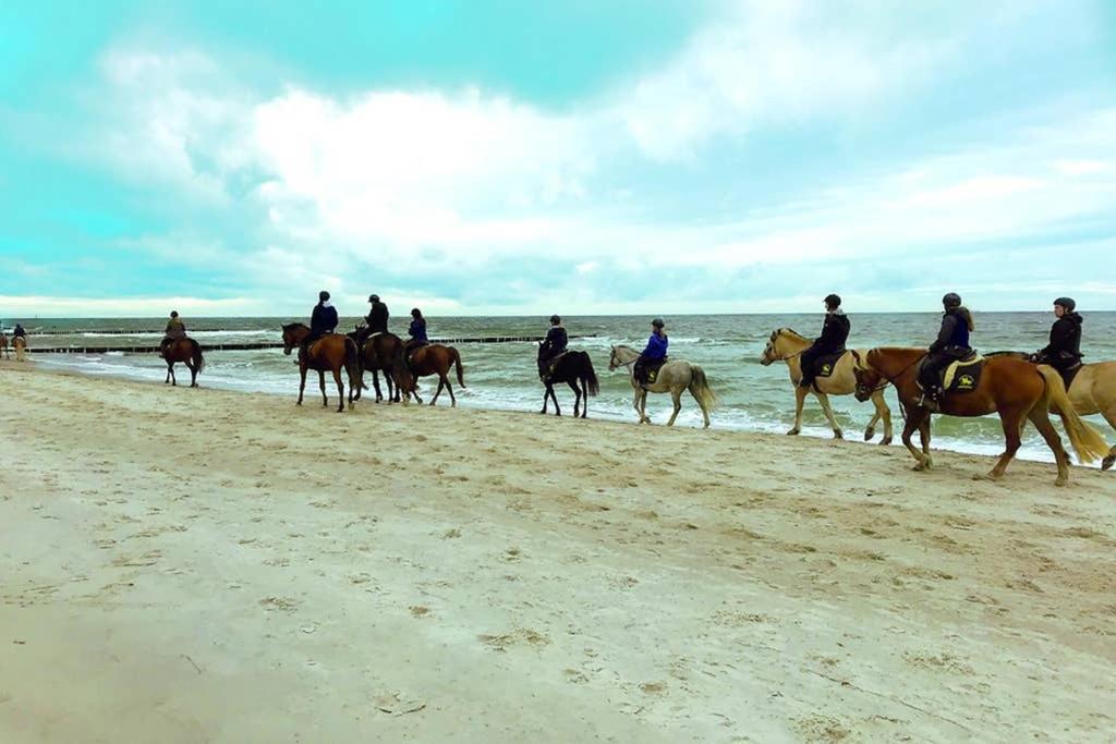 Ostsee-Ferienwohnung Uhlnuest Graal-Mueritz Gelbensande Eksteriør billede